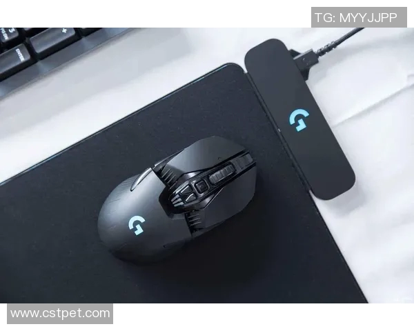 jbo官方平台资料详解及使用指南助您轻松上手体验游戏乐趣